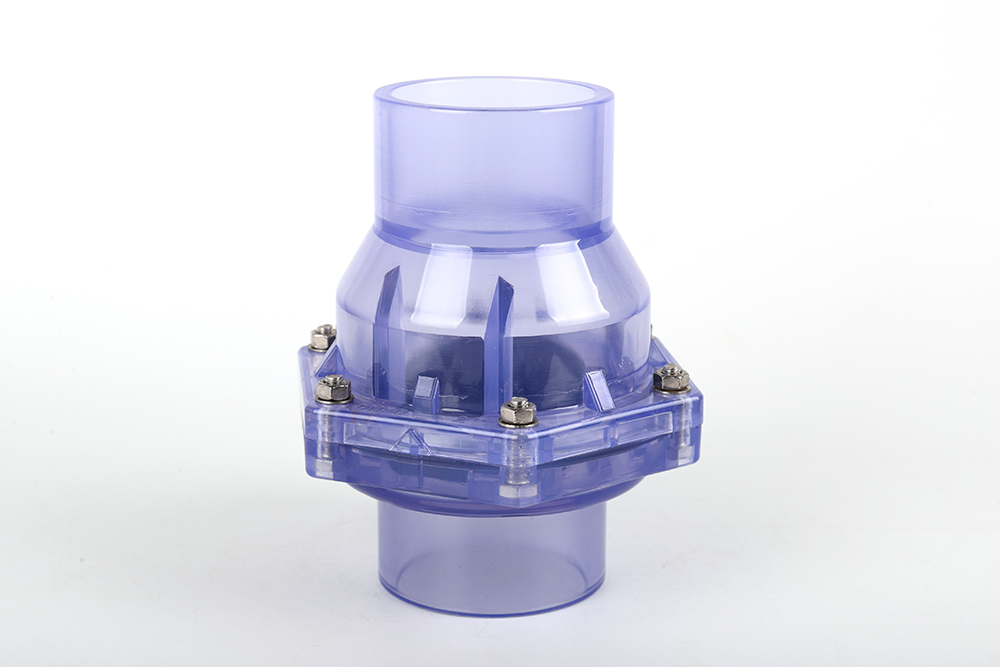 蕲春透明翻板式止回阀